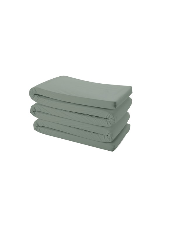 BabyDan Dusty Green sengerand