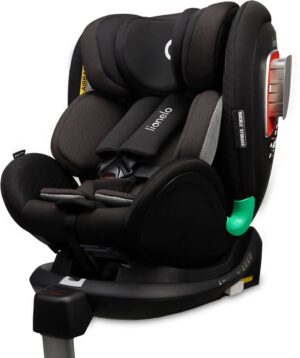 Lionelo Antoon RWF Autostol, Carbon