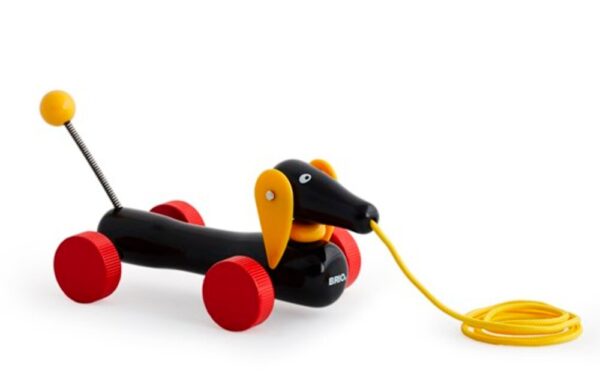 Dachsie, hund, Pull along - FSCÂ®