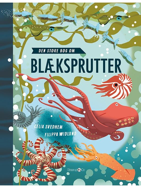 Den store bog om blæksprutter - Børnebog - Hardback Den store bog om blæksprutter - Børnebog - Hardback