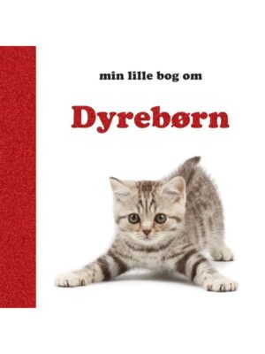 Dyrebørn - Børnebog - Board books