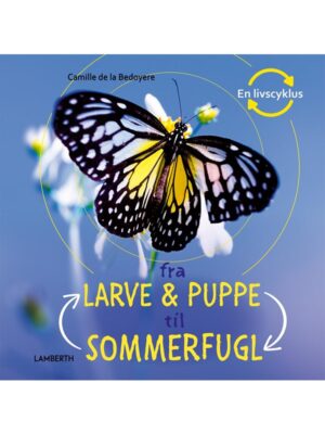 Fra larve og puppe til sommerfugl - Børnebog - hardcover