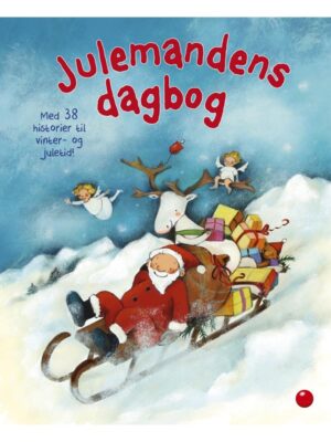 Julemandens dagbog - Børnebog - hardcover