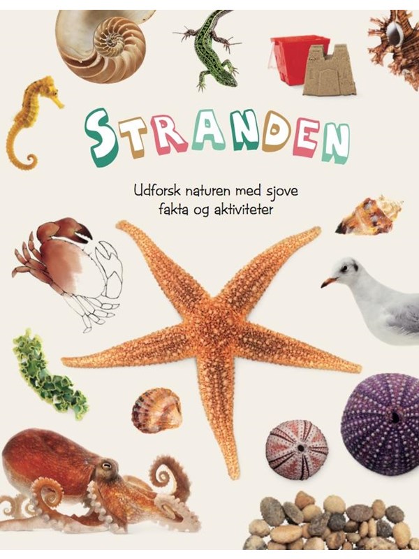 Stranden - Børnebog - hardcover Stranden - Børnebog - hardcover