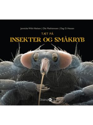 Tæt på insekter og småkryb - Børnebog - Hardback