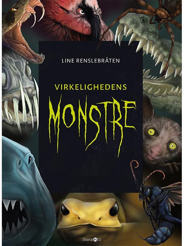 Virkelighedens monstre + monsterkort - Børnebog - Hardback Virkelighedens monstre + monsterkort - Børnebog - Hardback