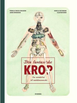 Din fantastiske krop - fra urtidsfisk til nutidsme - Børnebog - hardcover