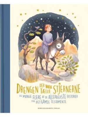 Drengen der ville tælle stjernerne - Børnebog - hardcover