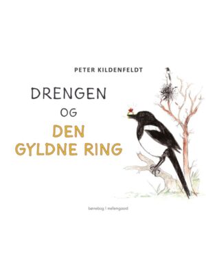 Drengen og den gyldne ring - Børnebog - booklet