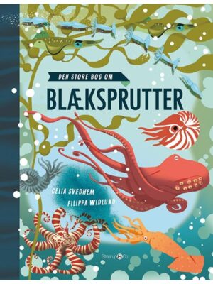 Den store bog om blæksprutter - Børnebog - hardback
