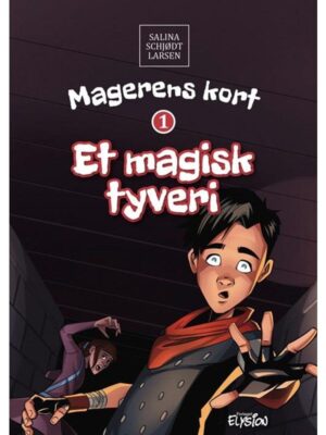 Et magisk tyveri - Børnebog - hardback