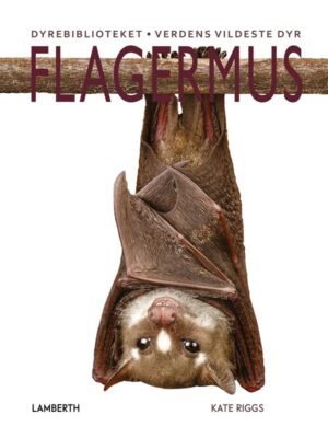 Flagermus - Børnebog - hardcover