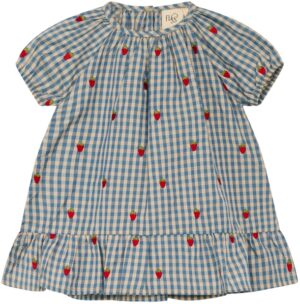 Flöss Kjole Polly SS Dress Berry/Blue Gingham