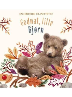 Godnat lille Bjørn - Børnebog - hardcover