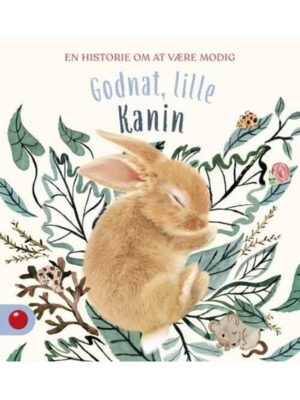 Godnat lille Kanin - Børnebog - hardcover