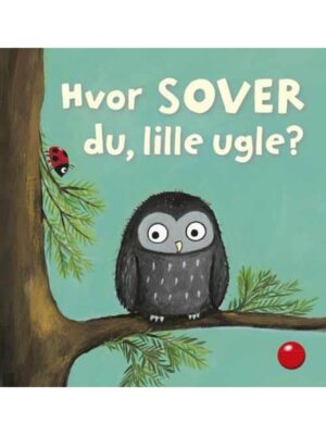 Hvor sover du lille ugle? - Børnebog - Board books