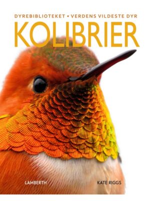 Kolibrier - Børnebog - hardcover