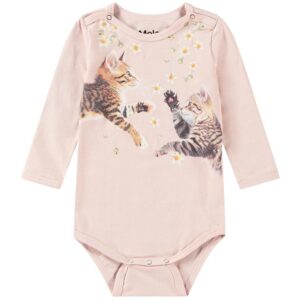 Molo Jumping Kittens Foss Body - Str. 68