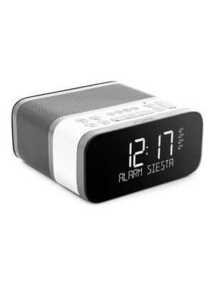PURE Siesta S6 Polar - DAB/DAB+ - Mono