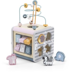 PolarB Aktivitetskube