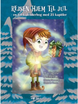 Rejsen hjem til jul - Børnebog - hardback