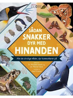 Sådan snakker dyr med hinanden - Børnebog - hardcover