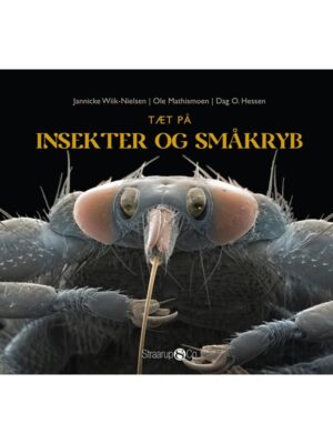 Tæt på insekter og småkryb - Børnebog - hardback