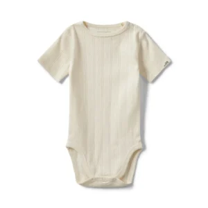 Dictesb body - 0109 - 68