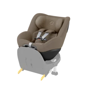 Pearl 360 Pro - authentic truffle